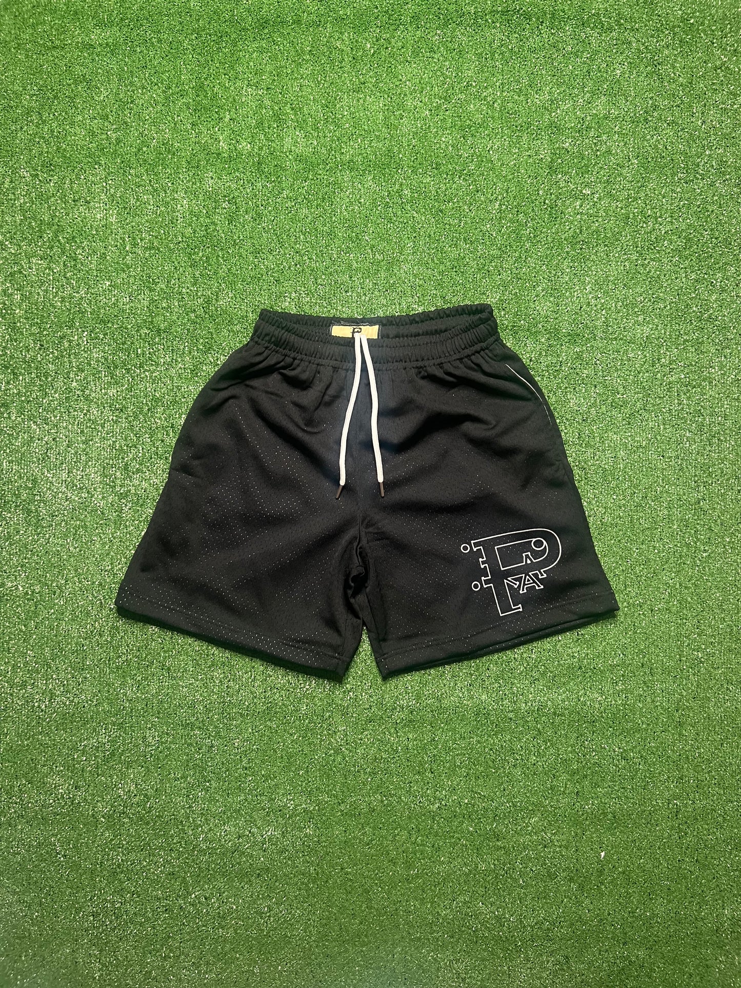 Black Mesh Short